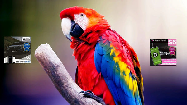 GPS Tracking for Exotic Animal Transport and Zoos